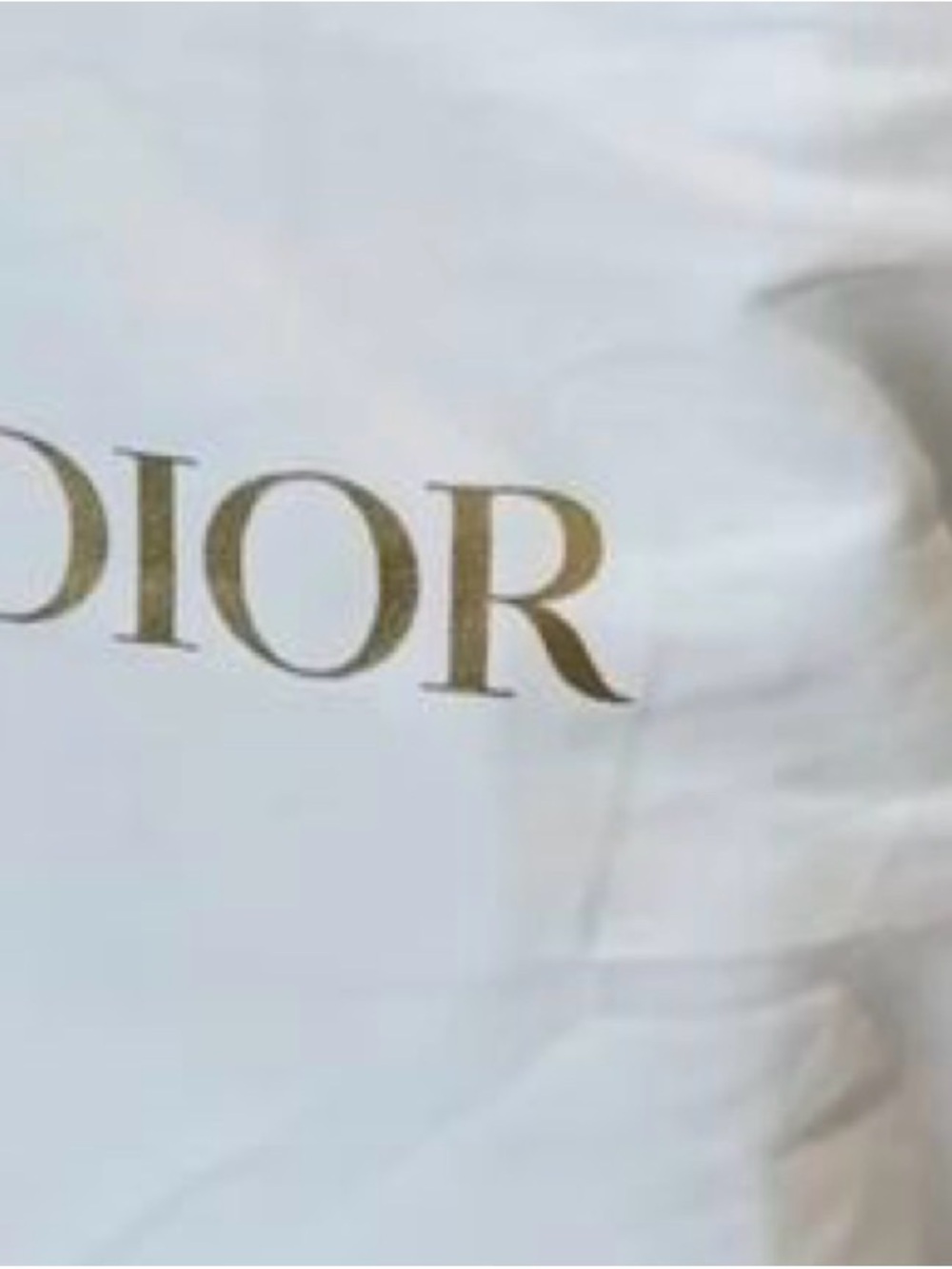New Dior Small Dustbag with large ribbon